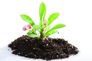 笔记本屏幕贴膜有必要吗？利弊分析帮你决定